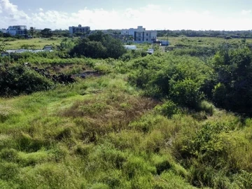 Land