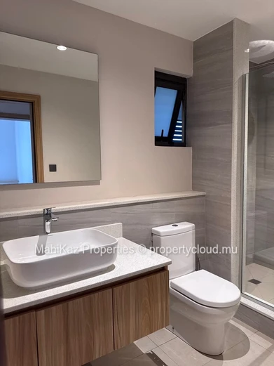 Luxurious Apartment For Rent – Moka Smart City, Mauritius  