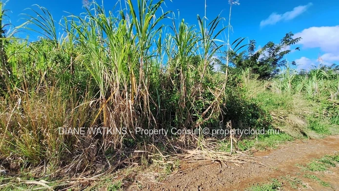 Land for Sale in Baie du Cap, Mauritius – 2,532.52 m² with Sea & Mountain Views