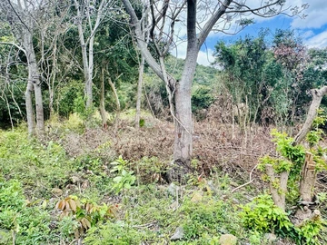 Terrain Agricole