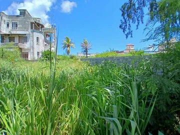 Residential Land