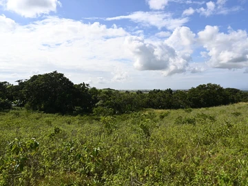 Terrain Agricole