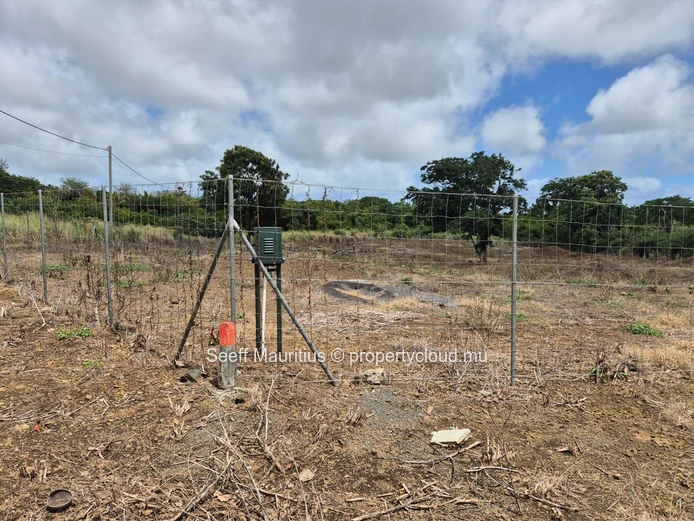 À vendre — Grand terrain agricole à La Forêt d'Aruty