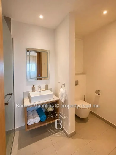 PÉREYBÈRE – Superbe penthouse avec rooftop privatif – 3 chambres
