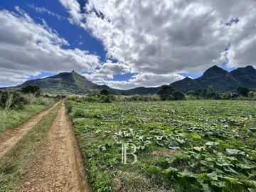 Terrain Agricole