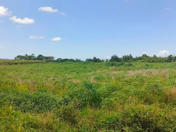 Terrain Commercial