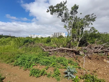 Residential Land