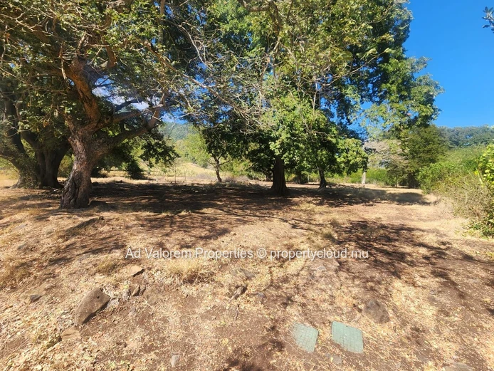 Terrain à vendre dans L'Ouest