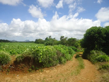 Agricultural Land at Mare Longue