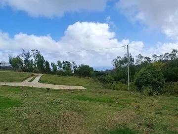 Commercial Land