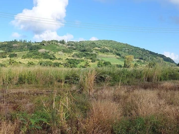 Terrain Agricole