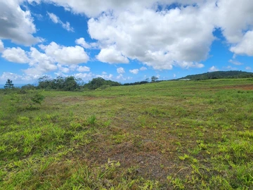 Terrain
