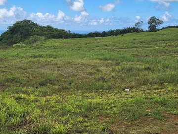 Terrain