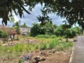 Residential Land