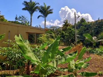 Residential Land