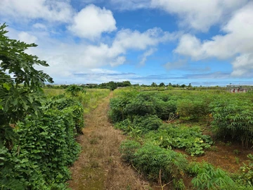 Agricultural Land