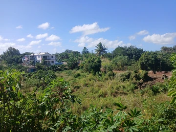 Agricultural Land