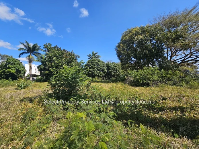 Prime Freehold Land for Sale in Moka