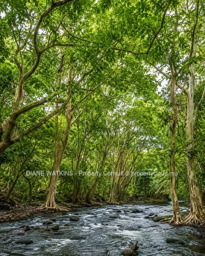 An Exceptional Opportunity in Tamarin – 7-Arpent Residential Land