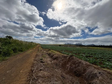Terrain Commercial