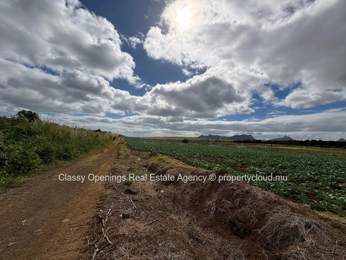 2110 m² Phoenix Commercial Land — Mountain Views, Near Bus & Shops