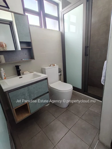 Pet friendly house with swimming pool and garden