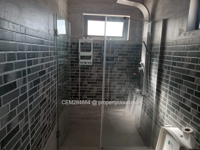 Exquisite Individual House for Rent in Albion