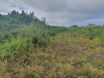 Residential Land