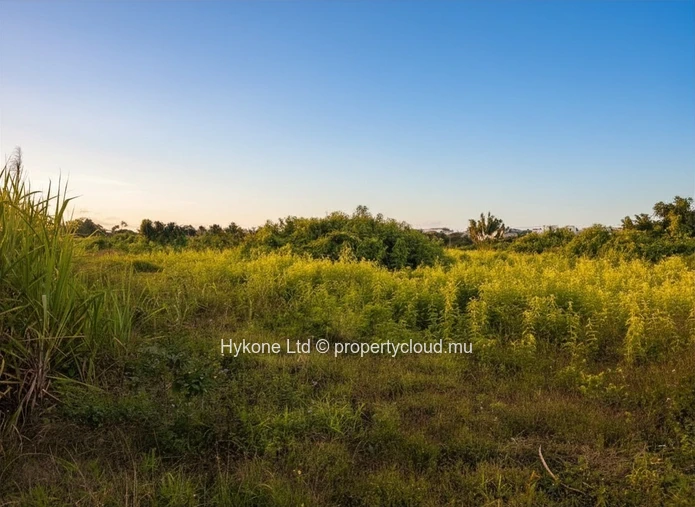 Terrain Agricole En Vente À Quartier Militaire