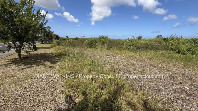 Terrain résidentiel à vendre | Savannah Connected Countryside | 1 097 m²