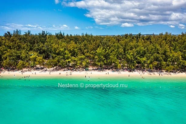 Modern tropical living with 4 bedrooms