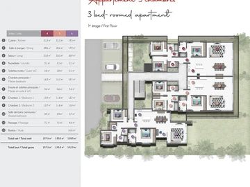 3 Bedroom Apartment