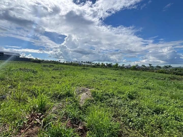 Land