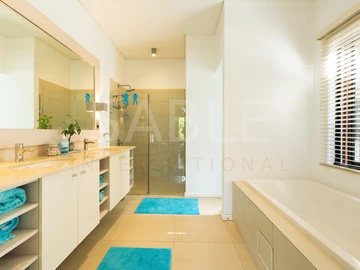 4 Bedroom Penthouse