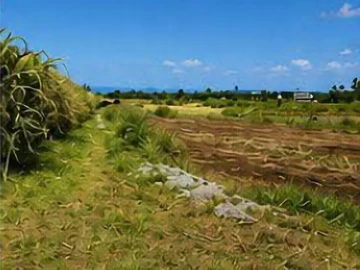 Residential Land