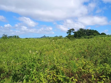 Terrain Agricole
