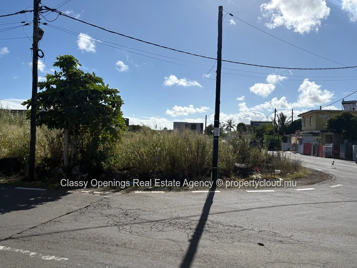 Palm-lined 517 m² Corner Plot in Highlands - Near Bus Stop
