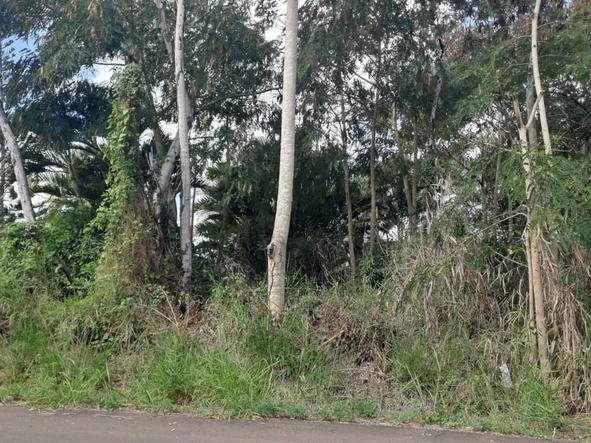 Residential Land