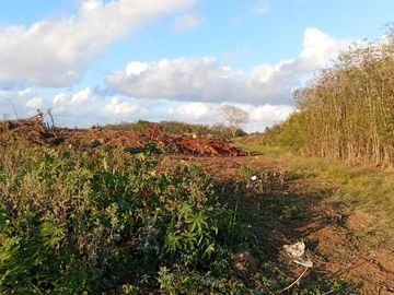 Residential Land