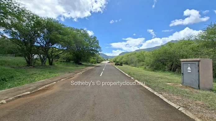 Palmyre Vista