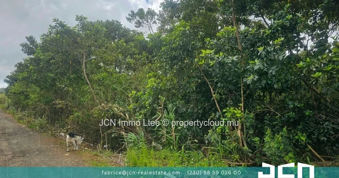 Agricultural Land For Sale – La Flora