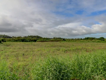 Agricultural Land