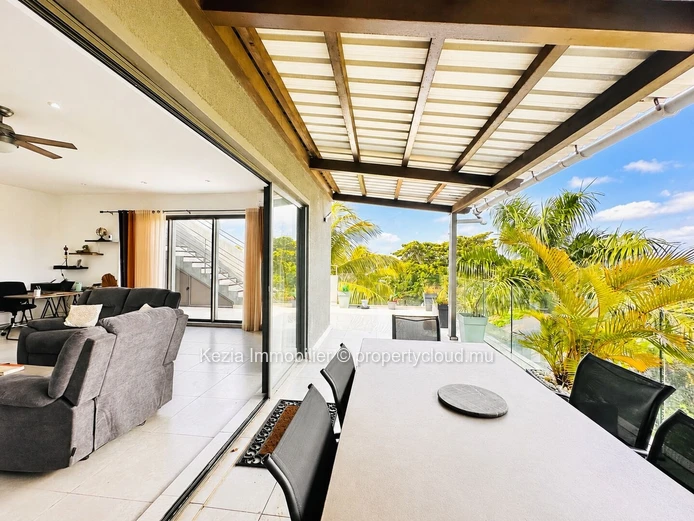 Penthouse With Private Rooftop