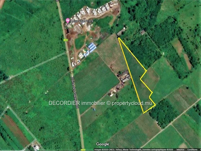 A vendre terrain agricole de 3.5 Arpents – Mont Mascal - Grand Baie