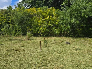 Residential Land