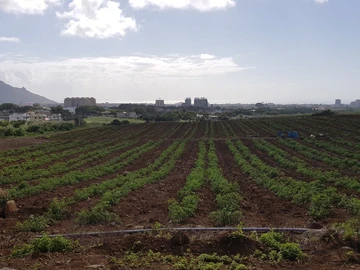 Terrain Agricole