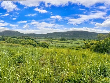Terrain Agricole En Vente À Sebastopol, Flacq