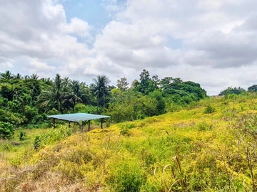 Commercial Land