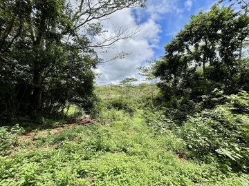 Agricultural Land