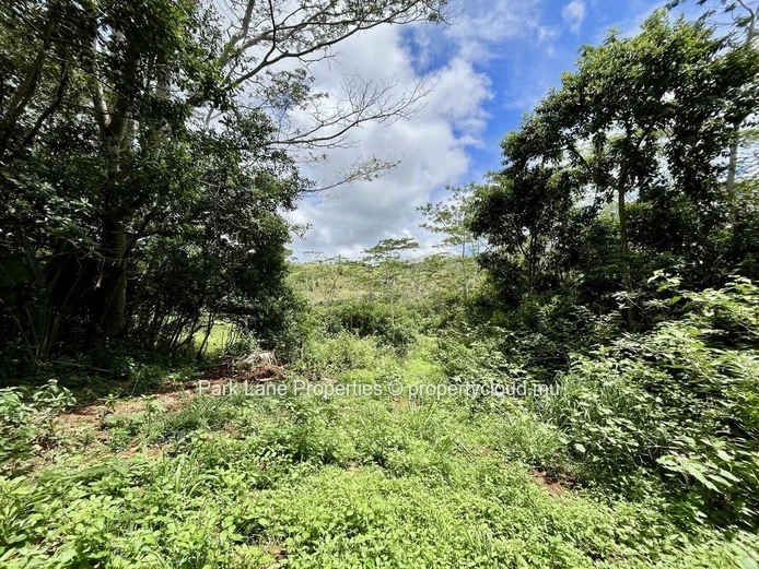 Agricultural land ideal for lodges